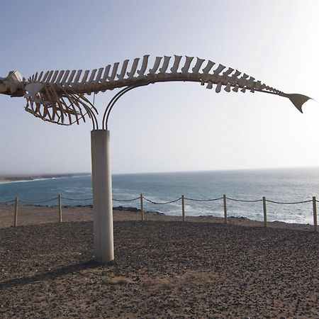 فيلا The Wind'S Breath, Perfect For Relaxing Getaway لا أوليفا المظهر الخارجي الصورة